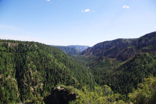 Coconino National Forest